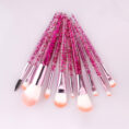 10-Makeup-Brushes-Powder-Filled-Handle-Makeup-Mixed-13