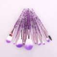 10-Makeup-Brushes-Powder-Filled-Handle-Makeup-Mixed-9
