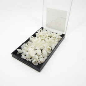 Anterior Teeth Ceramic Teeth Temporary Crown - 100G