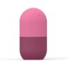 Apply Face Ice Tray Shell Pattern Facial Edema - Mixed