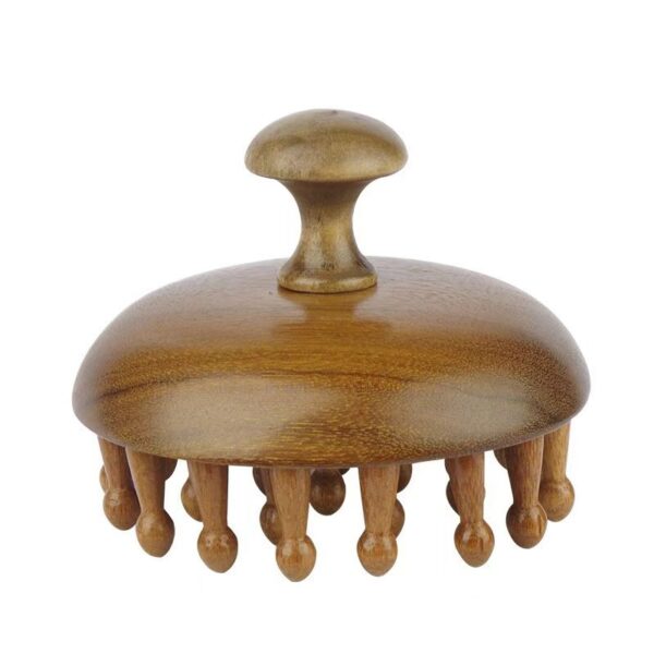 Creative-Fashion-Wooden-Shampoo-Brush-Massager-Mixed-11 Creative-Fashion-Wooden-Shampoo-Brush-Massager-Mixed-11