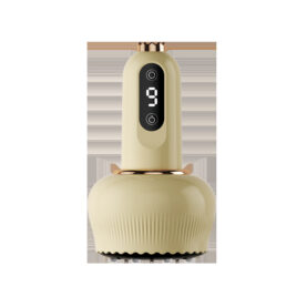 Electric Charging Gua Sha Scraping Tools - Beige