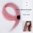 Gradient Color Straight Hair Piece High - Others.