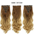Long Curly Hair High Temperature Silk Curtain - Mixed