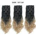 Long Curly Hair High Temperature Silk Curtain - Mixed