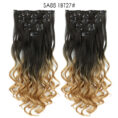 Long Curly Hair High Temperature Silk Curtain - Mixed