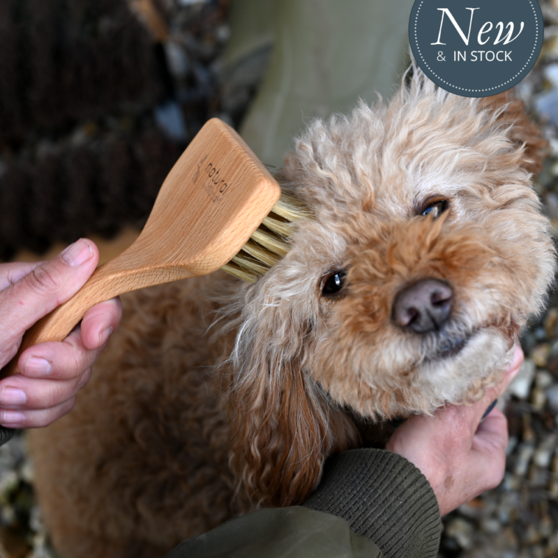 Natural Hillbrush Angled Pet Grooming Brush - Soft - 100 Fsc