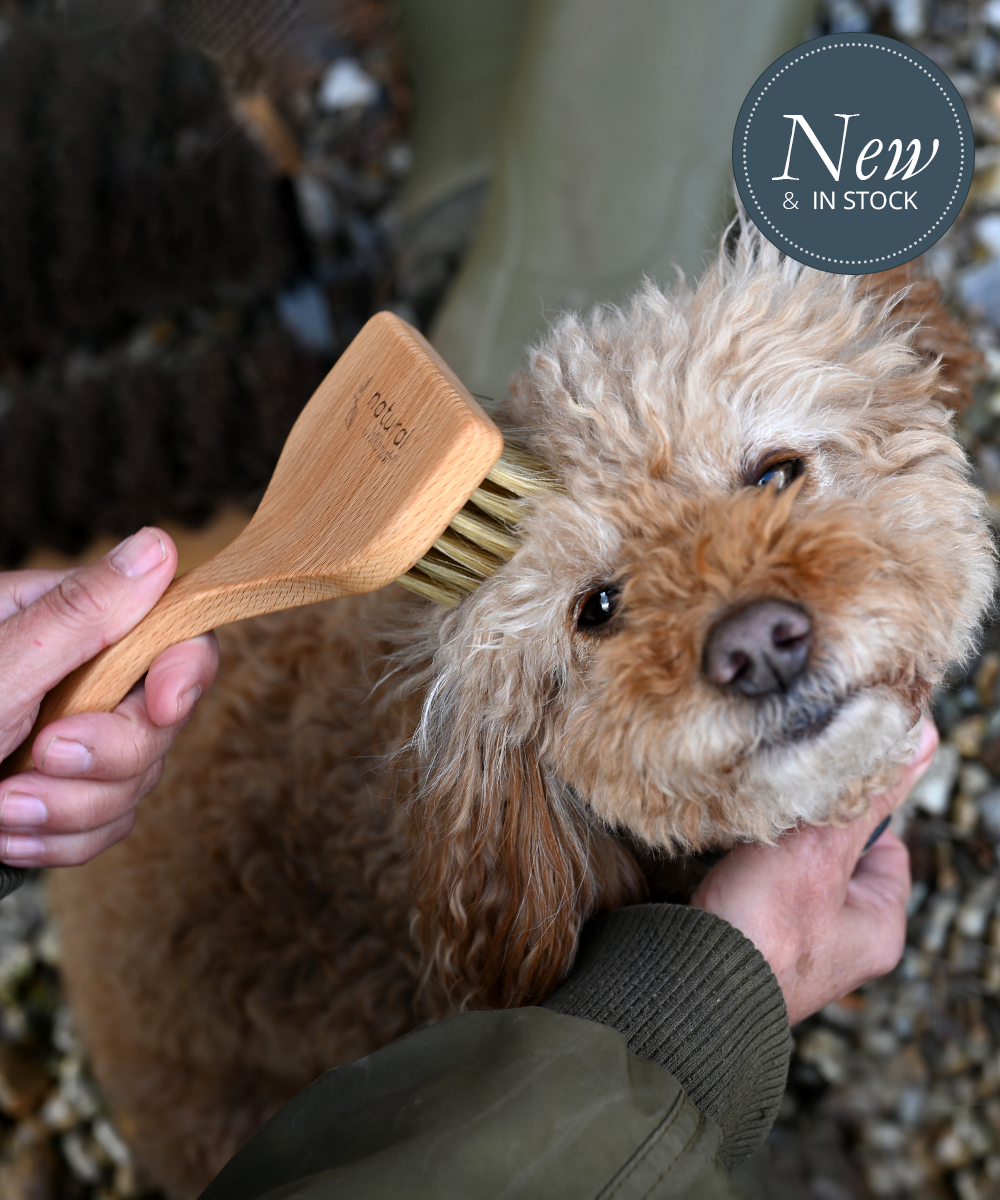 Natural Hillbrush Angled Pet Grooming Brush - Soft - 100 Fsc Natural Hillbrush Angled Pet Grooming Brush - Soft - 100 Fsc