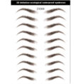 Simple Thick Eyebrows Ecological Eyebrow Stickers - Mixed
