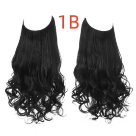 Wig Female Fish Line Type Long Curly Hair - Mixed